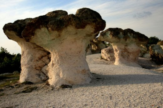 Зеолитните каменни гъби в с. Бели пласт в Родопите