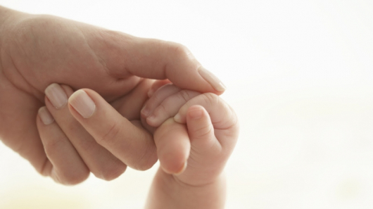 Снимка: Тhinkstockphotos Снимка: Тhinkstockphotos